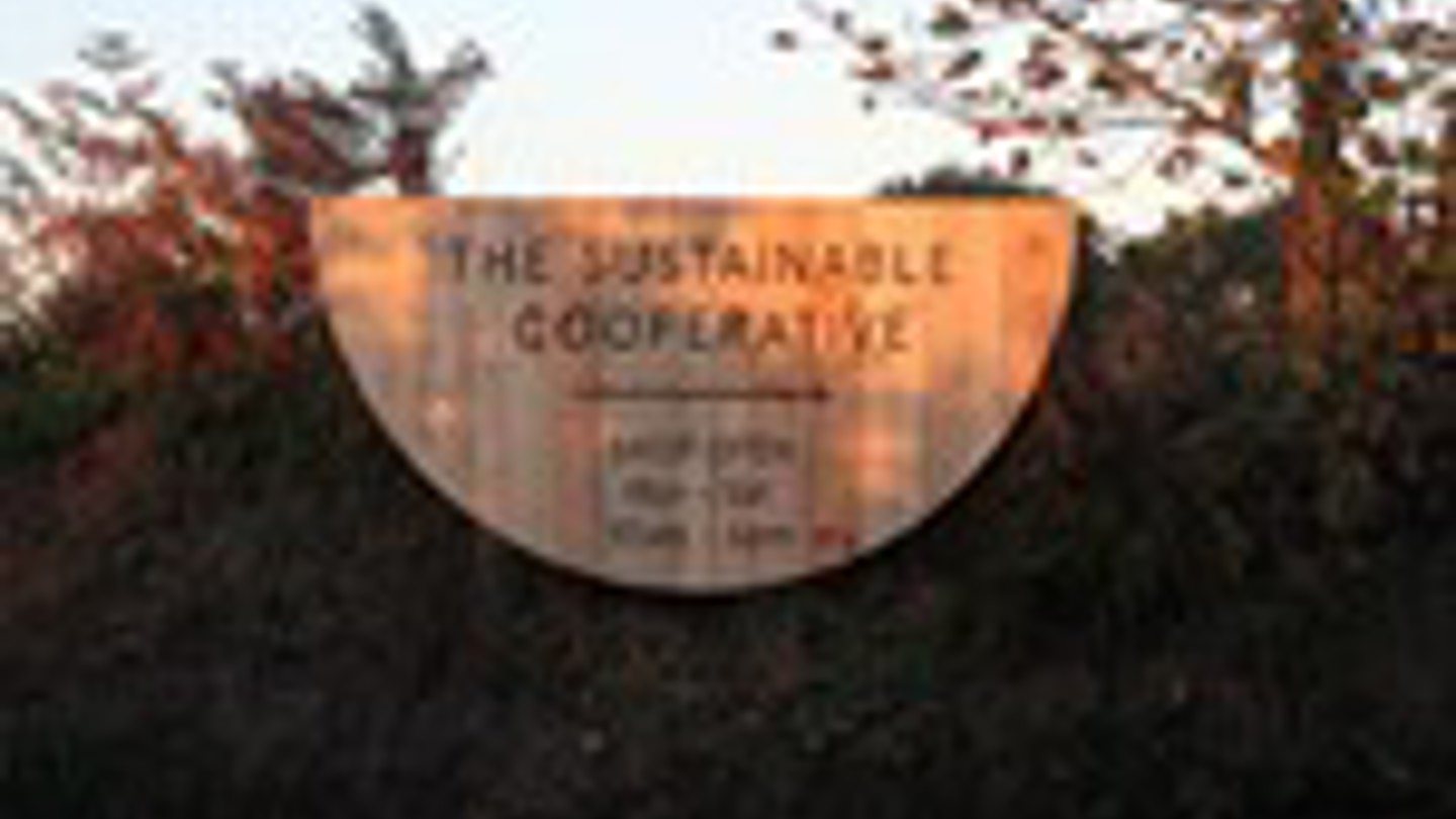 Scoop Logo
